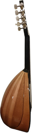 Acoustic Mandolin Curupoto