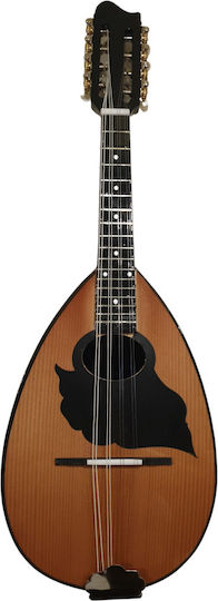 Acoustic Mandolin Curupoto
