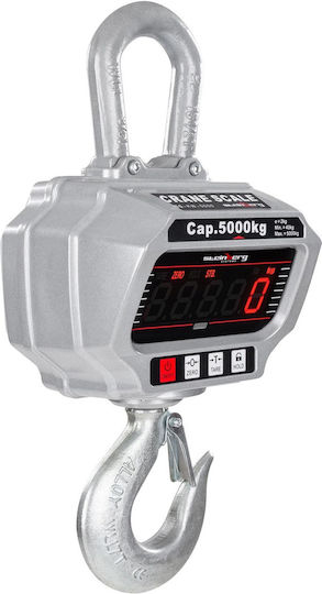 5 Ton Remote Controlled Hook Scale Crane Led