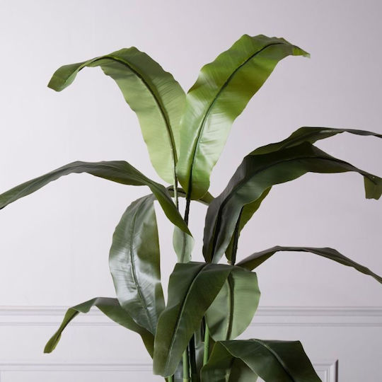 Πουλί του Παραδείσου Εξωτερικού Χώρου 190cm Supergreens