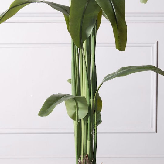 Πουλί του Παραδείσου Εξωτερικού Χώρου 190cm Supergreens