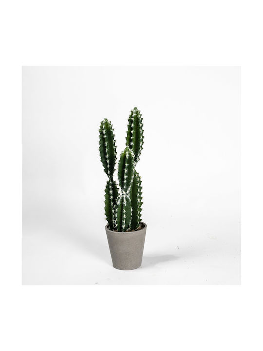 Artificial Plant in Pot Cactus Euphorbia Caerulescens Green 50cm Supergreens