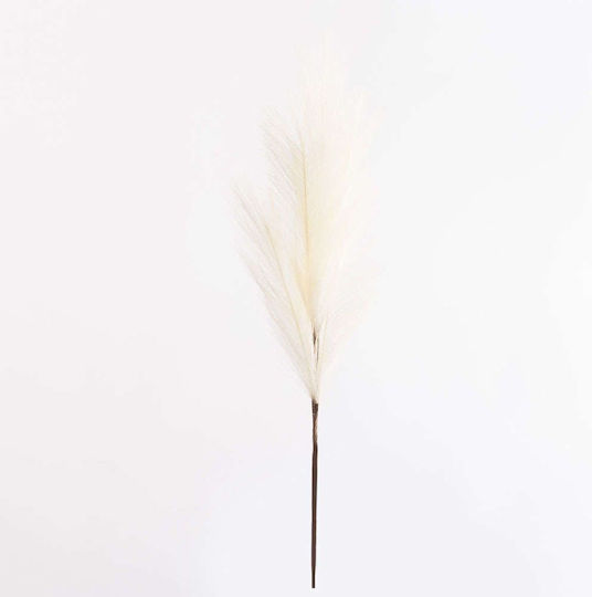 Τεχνητό Διακοσμητικό Κλαδί Pampas grass Εκρού 68cm Supergreens