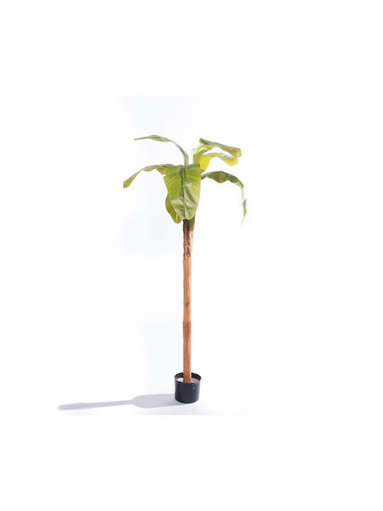 Artificial Plant in Pot Musa Tree Green 160cm Supergreens