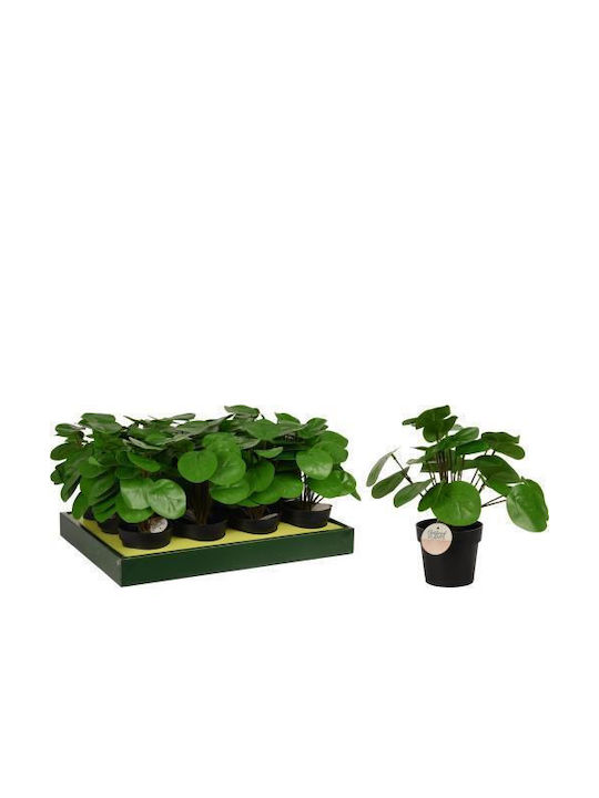 JK Home Decoration Artificial Plant in Small Pot Black 25cm