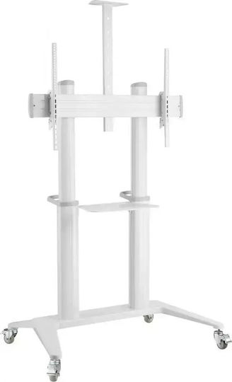 Techly ICA-TR49W ICA-TR49W Стойка за телевизор Подов до 120" и 140кг