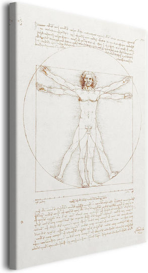 Ζωγραφική Καμβά Αναπαραγωγή Leonardo Da Vinci Vitruvian Man 60x90