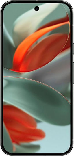 Google Pixel 9 Pro 5G (16GB/256GB) Hazel