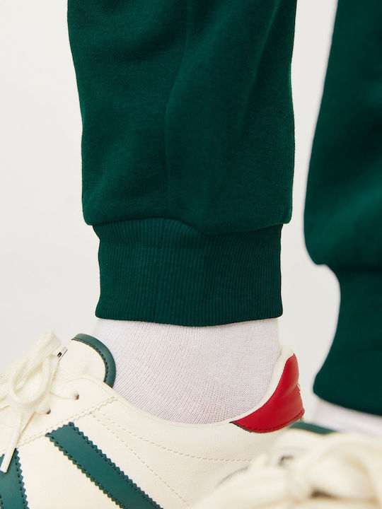 Sweatpants with Elastic Deep Teal