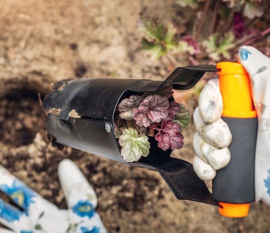 Kadax Tree Shrub Planting Auger