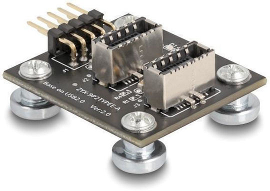 Delock Αντάπτορας Usb 2.0 Pin 2x Usb Type-e Key A 67176 Usb Pin Καλώδιο