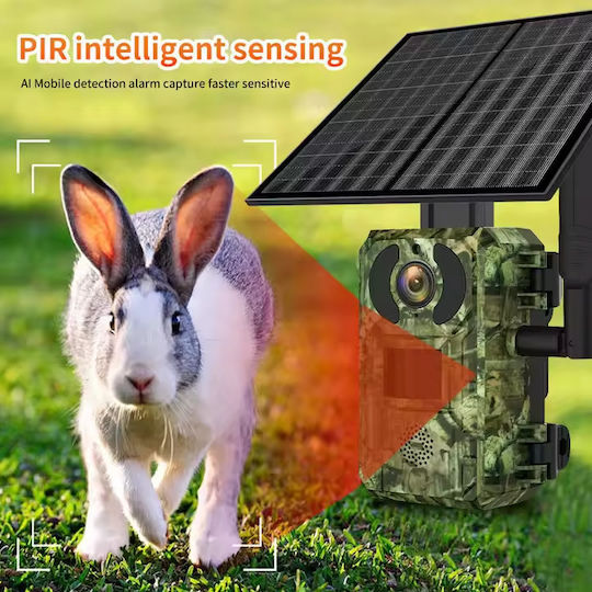 Sm-sh10-4g External Hunting Camera 3mp Wireless 4g Solar Panel Ip66 Android Ios