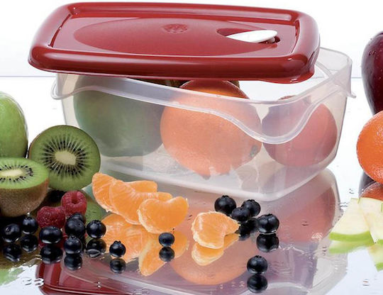 Bama Transparent Lunch Box 2lt