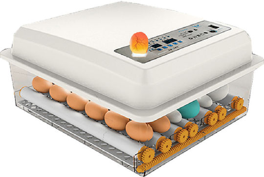 Automatic Incubator 64 eggs