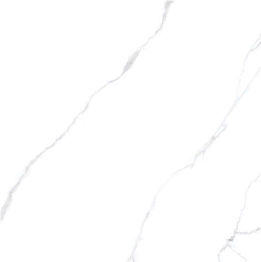 Panthermica Fliese Boden / Wand Innenbereich 160x80cm White