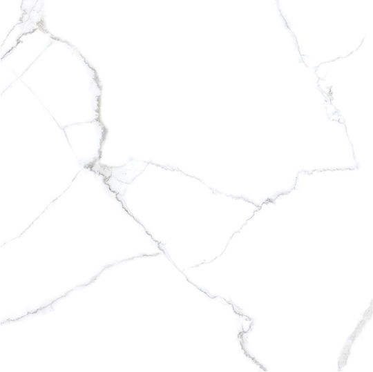 Panthermica Fliese Boden / Wand Innenbereich 160x80cm White