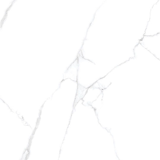 Panthermica Fliese Boden / Wand Innenbereich 240x80cm White