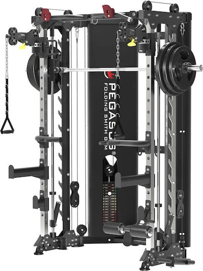 Pegasus Smith mit Gewichten 181kg (2x90.5kg)