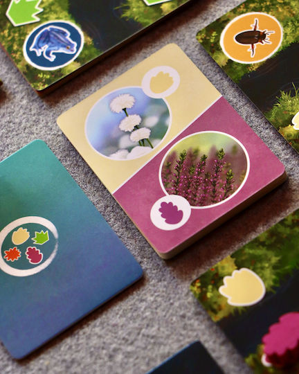 Настолна игра Moorland за 2-4 играчи 10+ години (EN) Deep Print Games