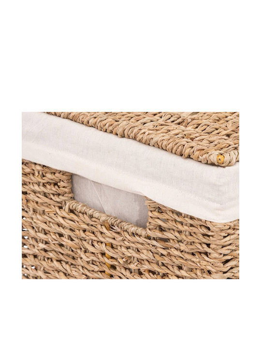 5Five Laundry Basket Wicker 40lt with Lid 38x22x55cm Brown