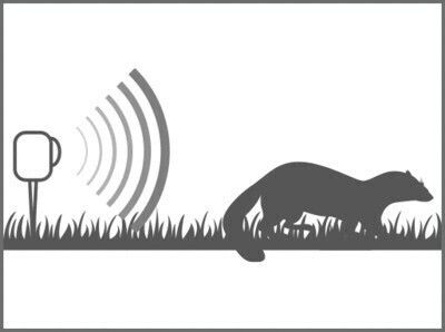 Swissinno Ultrasonic Repellent Device Cats Solar 12x12m