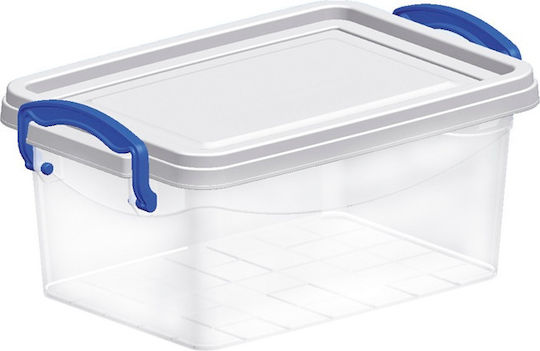 Viosarp Plastic Cutie de Depozitare cu Capac 1buc Viosarp Plastic Cutie de Depozitare cu Capac 1buc