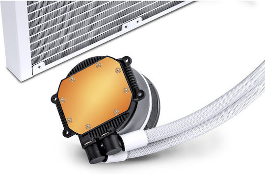Dragonfang 240 ARGB Water Cooling System AIO CPU with 2 120mm Fans White
