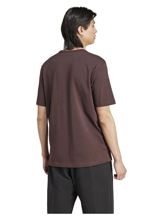 adidas Graphic Tee T-shirt Καφέ