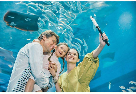 Ricoh Theta SC2 Action Camera Full HD (1080p) Λήψης 360° Υποβρύχια (με Θήκη) και Wi-Fi Μπεζ