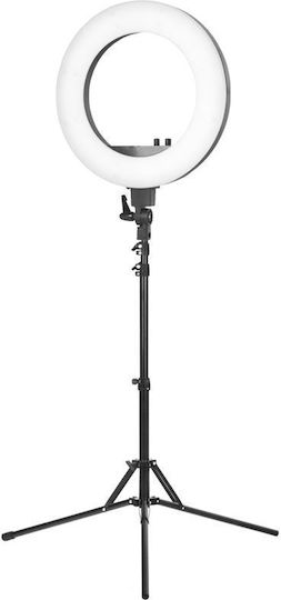 Activeshop Ringlicht 45.72cm und Halterung für Handy