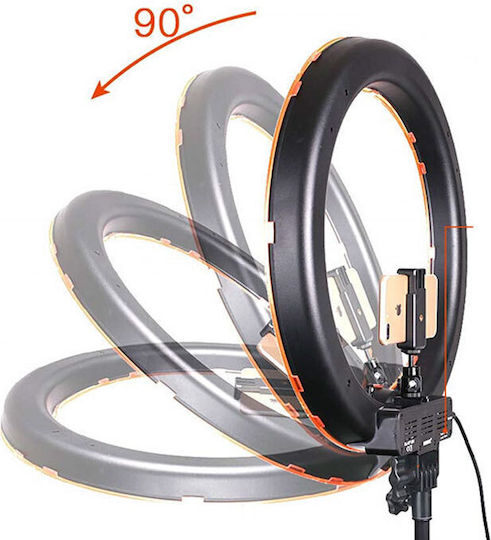 Activeshop Ringlicht 45.72cm und Halterung für Handy
