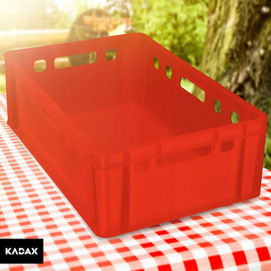 Cutie Container Transport Kadax Carne + Certificat 40l