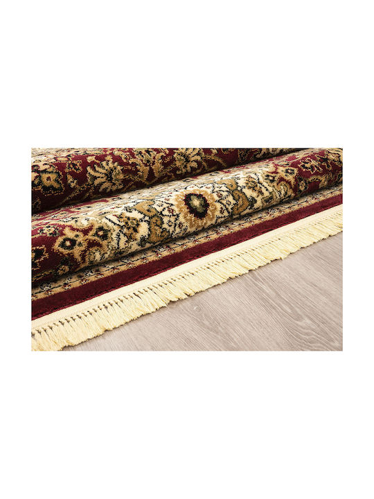 Newplan Persia 1019 Rug Rectangular with Fringes Burgundy