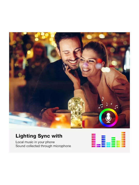 100 Lights LED 10m. Multicolor USB in String 1pcs