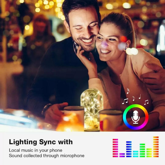 100 Lights LED 10m. Multicolor USB in String 1pcs
