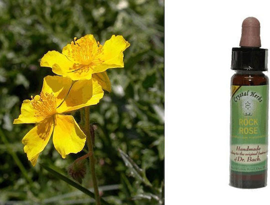 Crystal Herbs Ηλιάνθεμο (rock Rose) Ανθοΐαμα 10ml 1τμχ