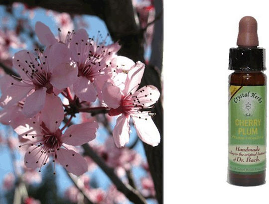 Crystal Herbs Δαμασκηνιά (cherry Plum) Ανθοΐαμα 10ml 1τμχ