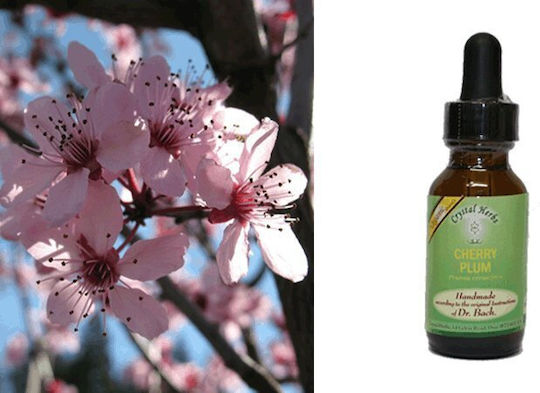 Crystal Herbs Δαμασκηνιά (cherry Plum) Esență Florală 25ml 1buc