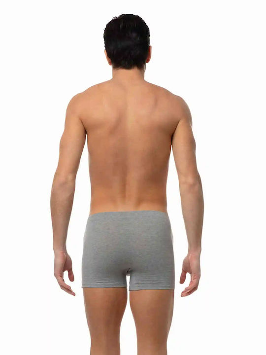 Minerva Men's Boxer Gray