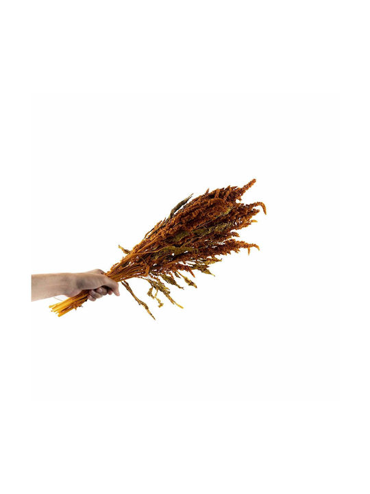 Getrocknete Pflanze Orange 40cm Selected by Pragmatic