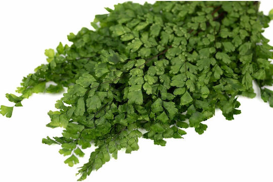 Букет от изкуствени цветя Fern Green 10см Selected by Pragmatic