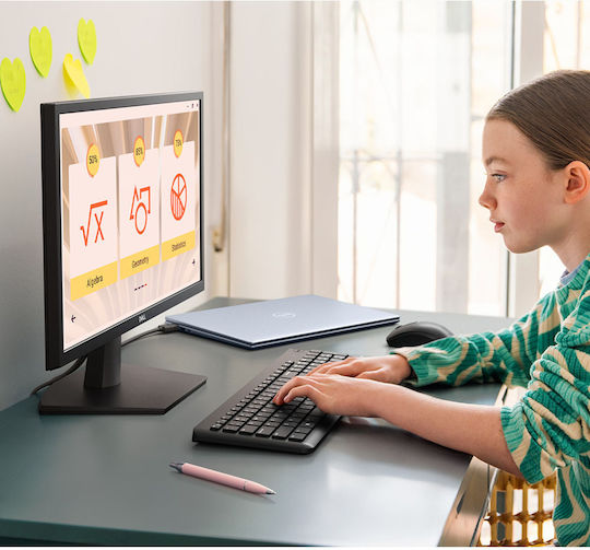 Dell SE2225H VA Monitor 21.5" FHD 1920x1080