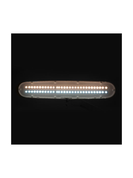 801-TL LED Schreibtischlampe mit klappbarem Arm und Clip in Weiß Farbe