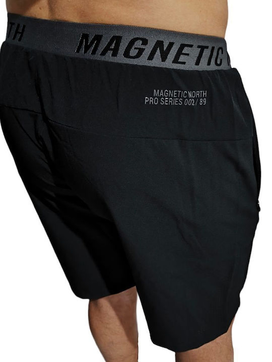 Magnetic North