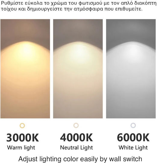 Home Lighting Palms Висящо Осветително Тяло Черен 20x77см.