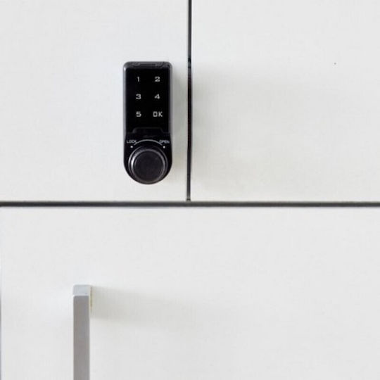 Arregui Electronic Furniture Lock