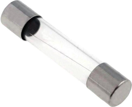 Tele Sicherung Zylindrisch Glas 6x32mm 8A (FLG-8) 1Stück