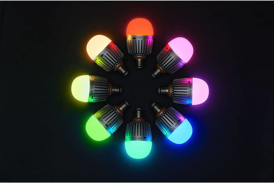 Godox C7R Knowled 8-Light Kit Ersatzlampe 10W