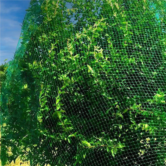 Plasă pentru păsări 4x5m din polietilenă verde