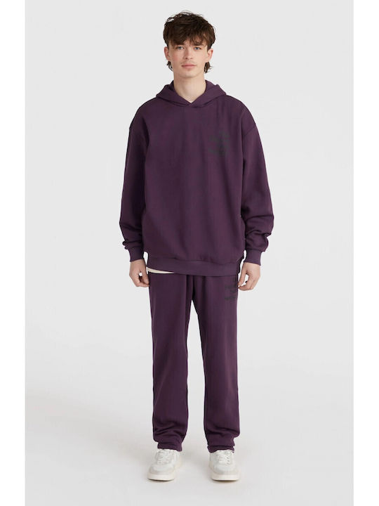 Без Ластик Bordeaux, Aubergine